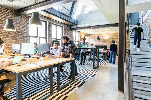 Startups & New Biz