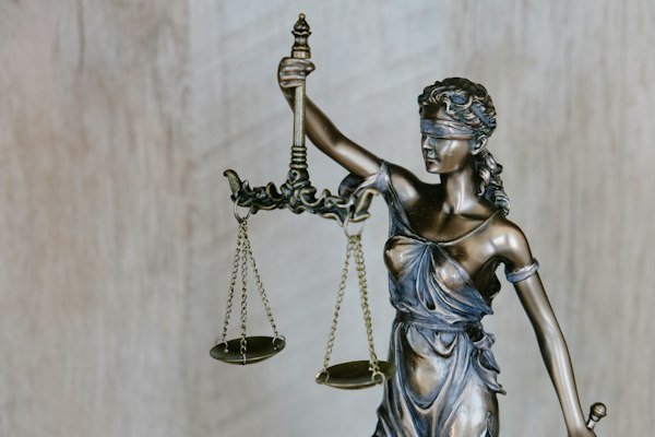 Legal & Law Firms